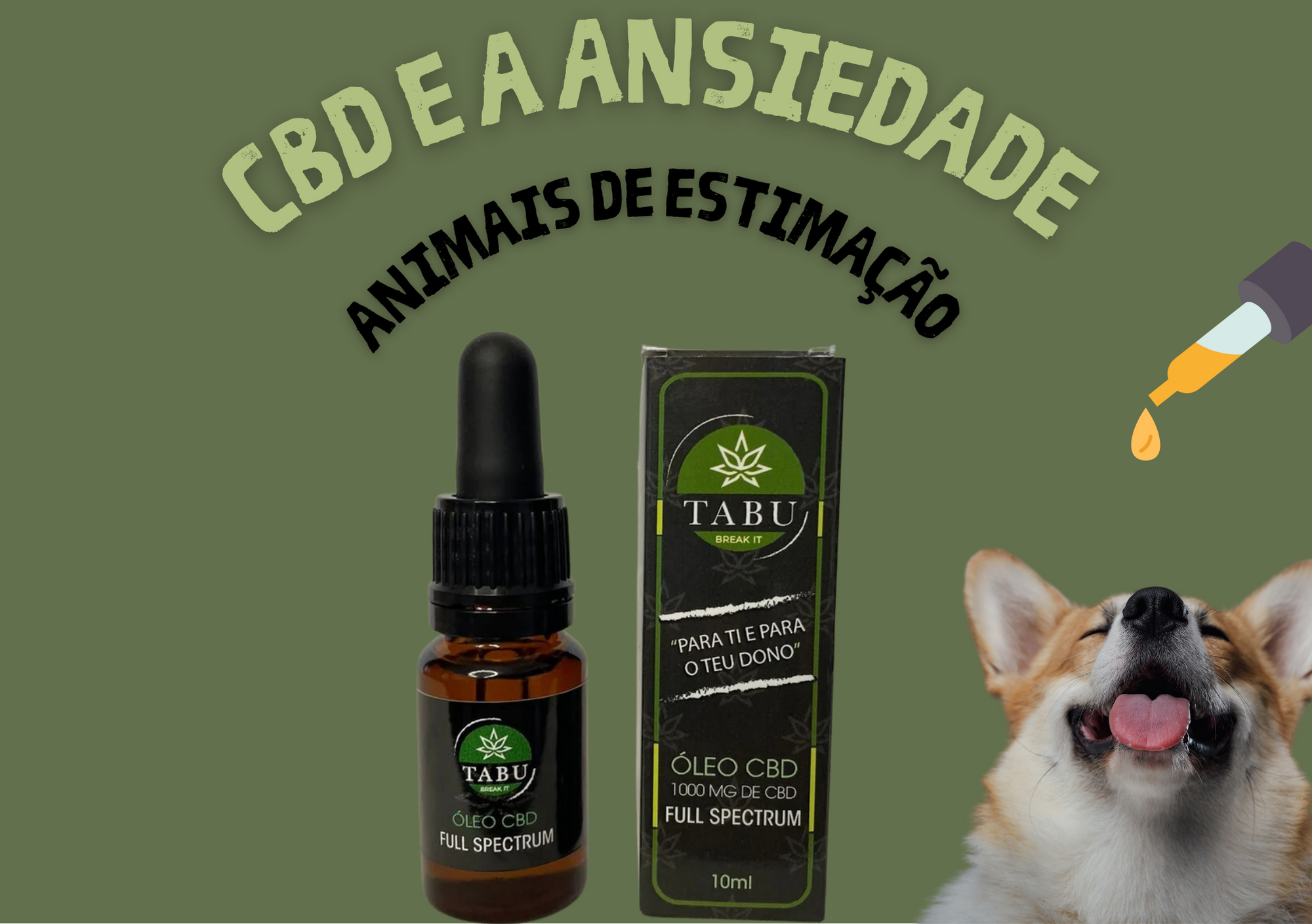 O CBD pode reduzir o stress e ansiedade dos cães durante viagens de carro? Vamos descobrir! Image