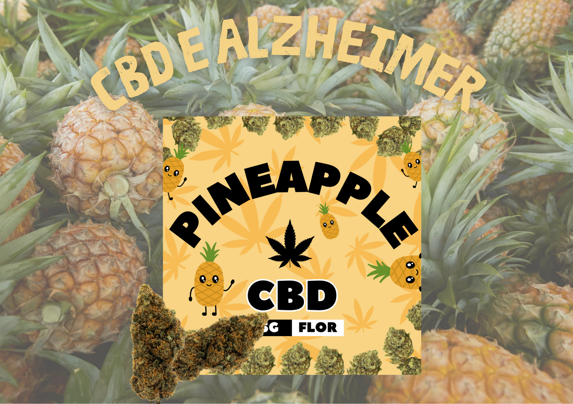 CBD e Alzheimer Image