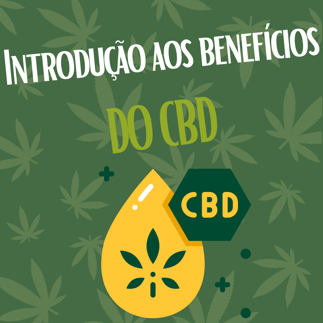 Descobre o CBD: Uma Introdução aos Seus Benefícios Image