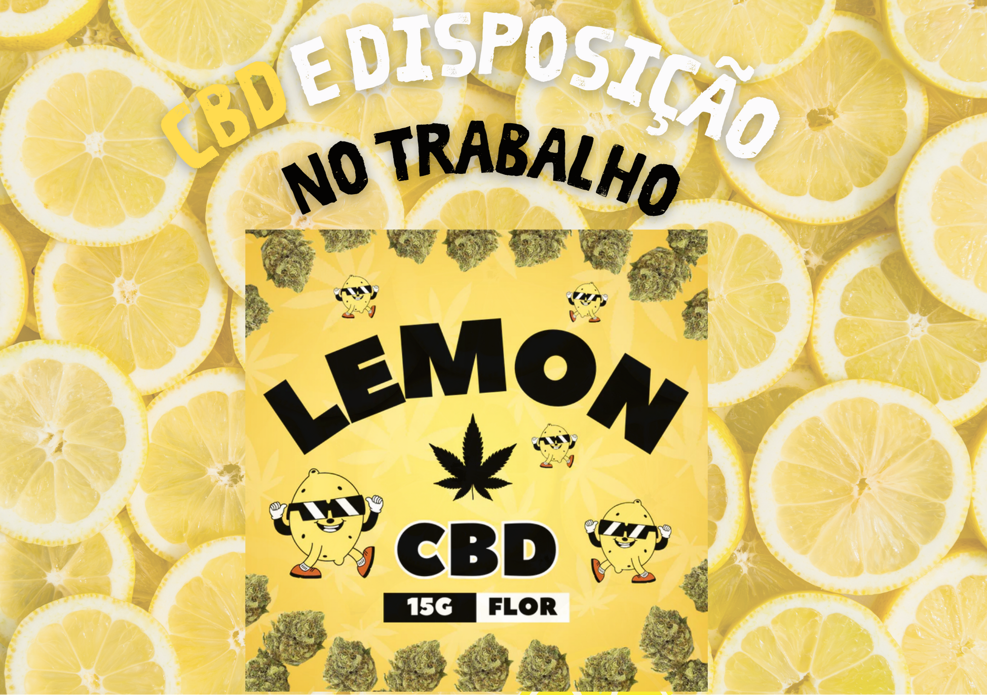 CBD e a Disposição no Trabalho Image