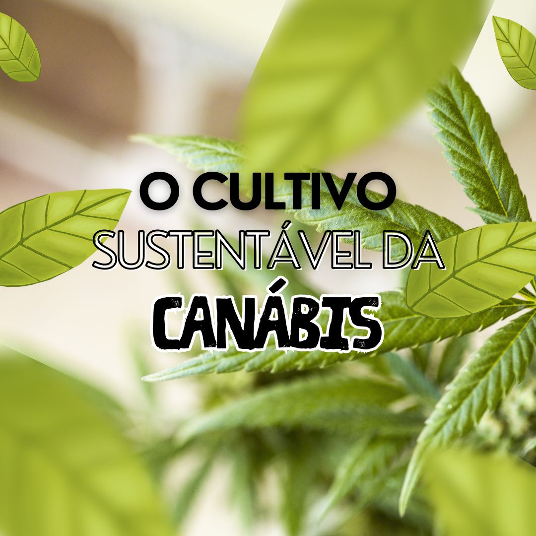 Descobre o Cultivo Sustentável de Cannabis: Práticas Amigas do Ambiente para Produção de CBD de Qualidade. Aproveita a Natureza Responsável e os Benefícios do CBD! Image