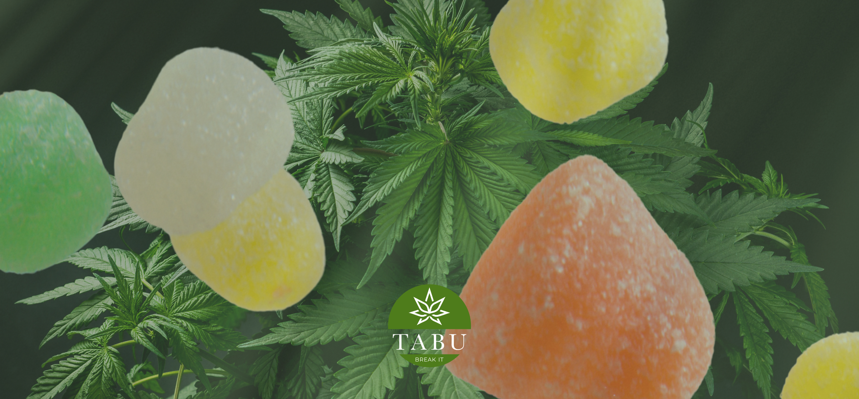 Gomas de 10-OH Premium: O Teu Momento de Relax, Em Forma de Sabor