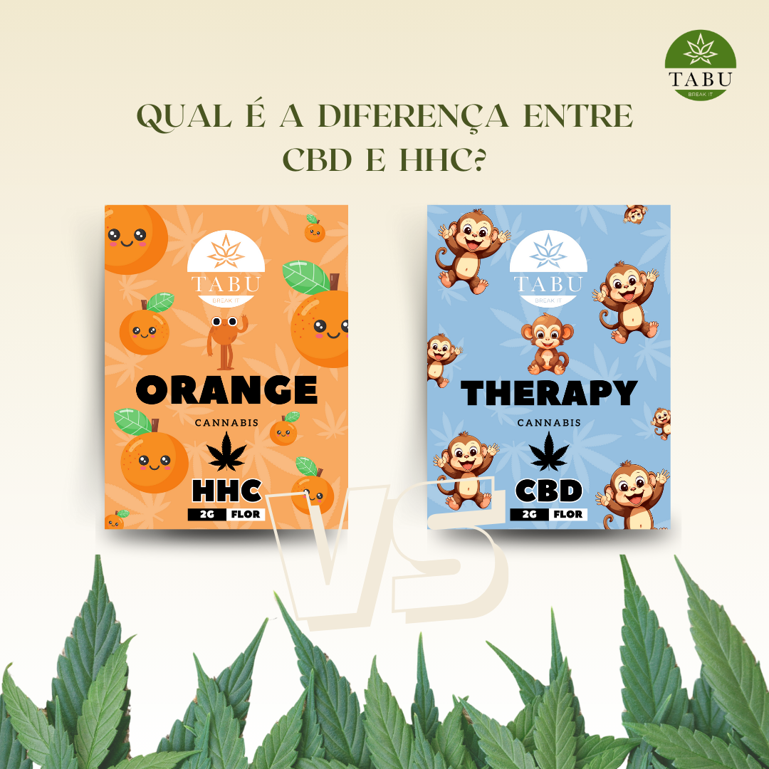 Quais as principais diferenças entre CBD e HHC? Image