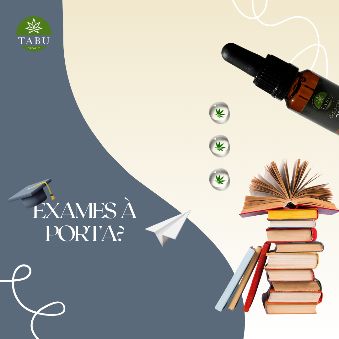 Stress com os Exames Escolares? Temos a solução perfeita Image
