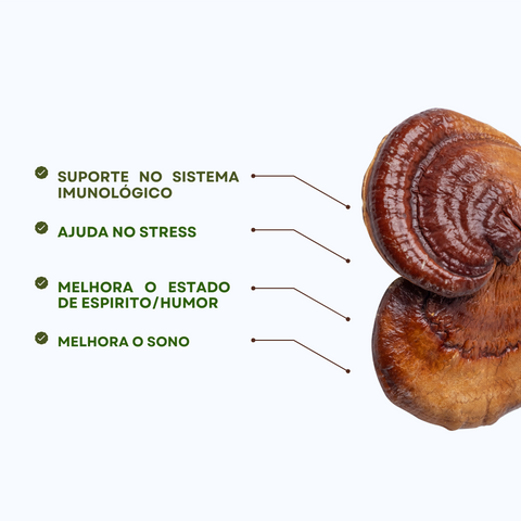 Reishi - Melhora o Sono e o Stress
