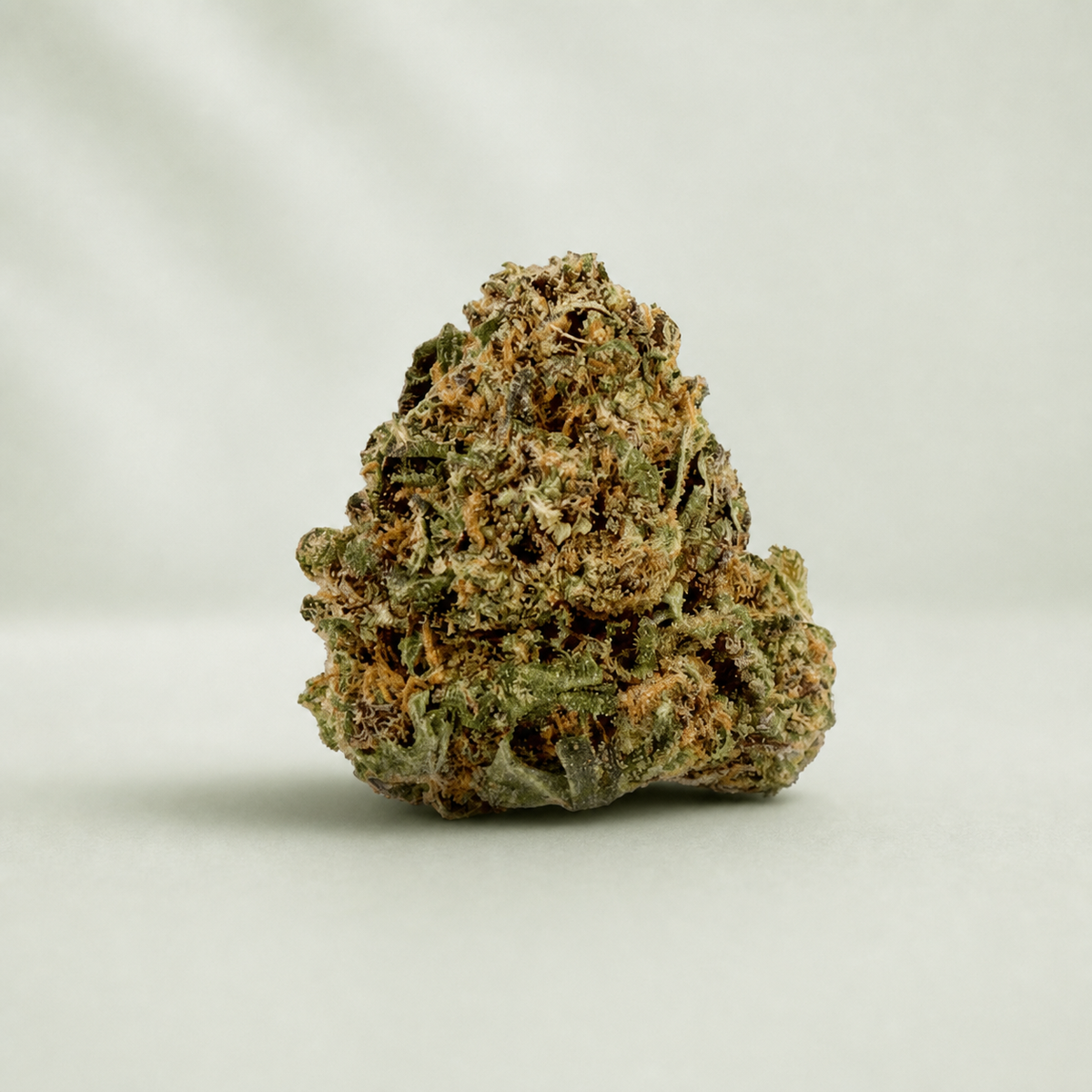 Alien CBD sur fond inspiré Beldia avec ombre réaliste unique