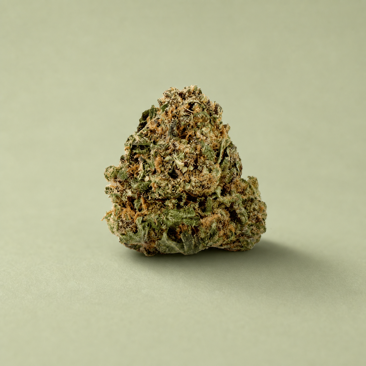 Flor de CBD Alien sur fond vert sauge