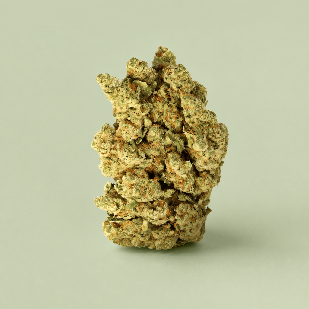 Flor de CBD Amnesia Hydro sur fond vert sauge