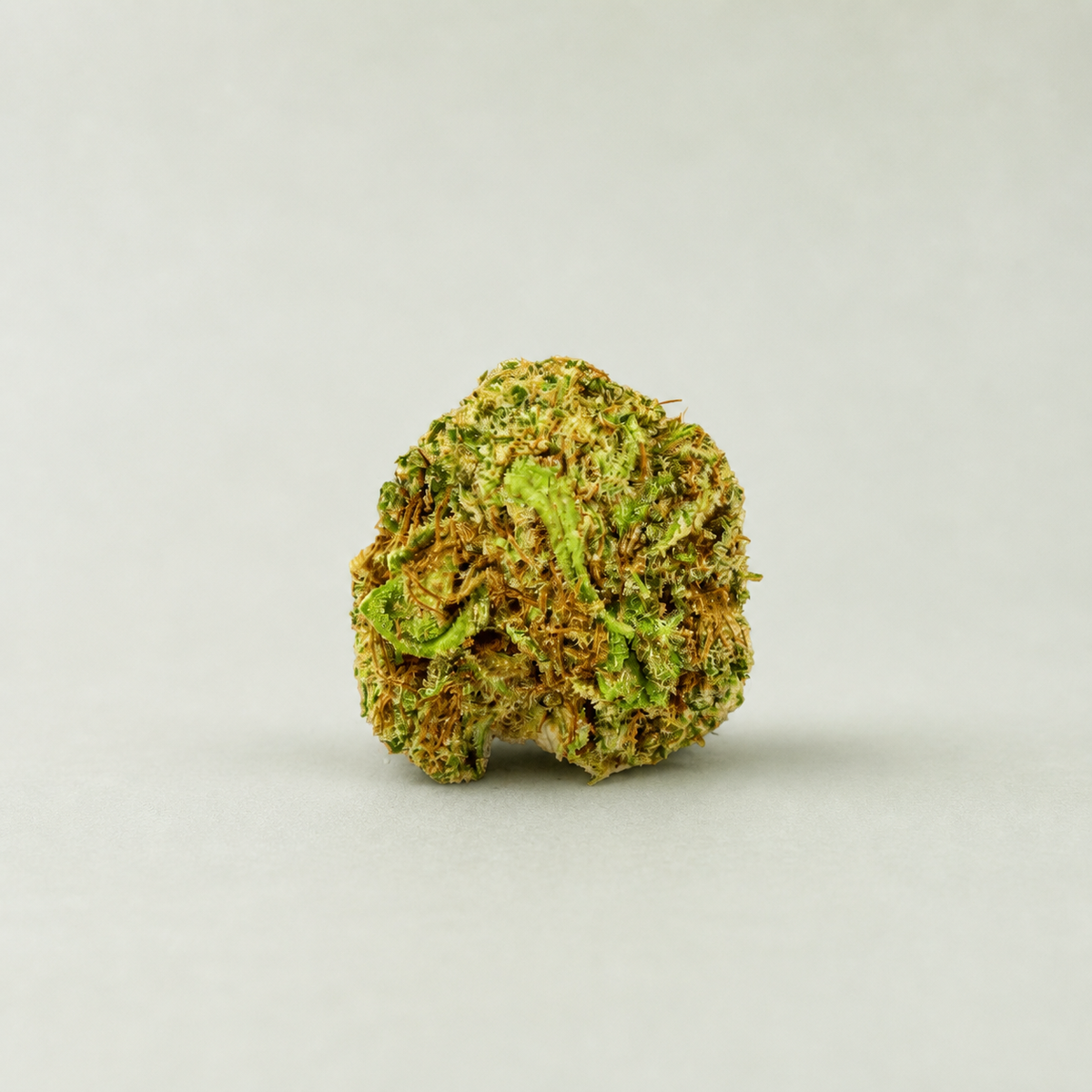 Amnesia Small Buds CBD sur fond inspiré Beldia avec ombre réaliste unique