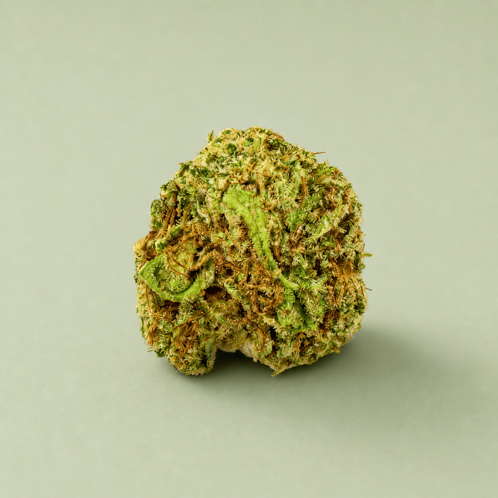 Flor de CBD Amnesia Small Buds sur fond vert sauge