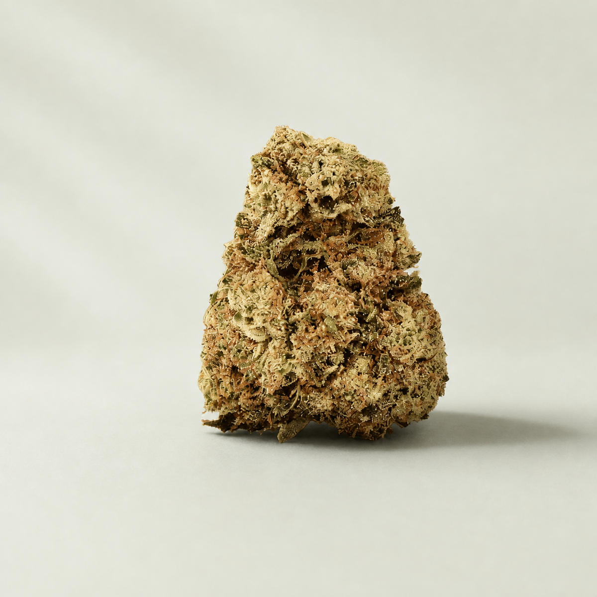 Banana Cream CBG sur fond inspiré Beldia avec ombre réaliste unique