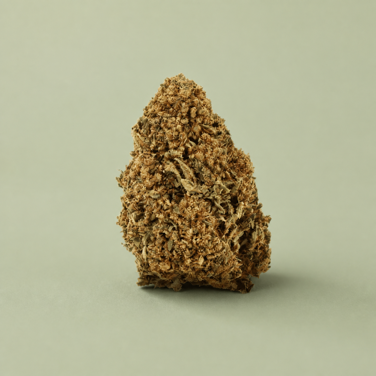 Flor de CBD Banana Smash sur fond vert sauge