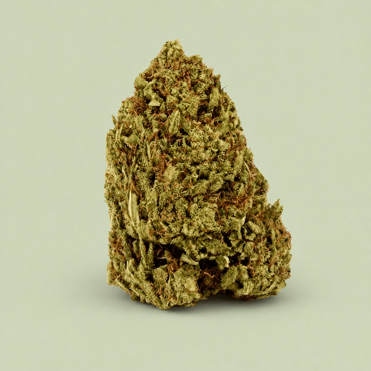 Fleur de CBD Blue Dream sur fond vert sauge