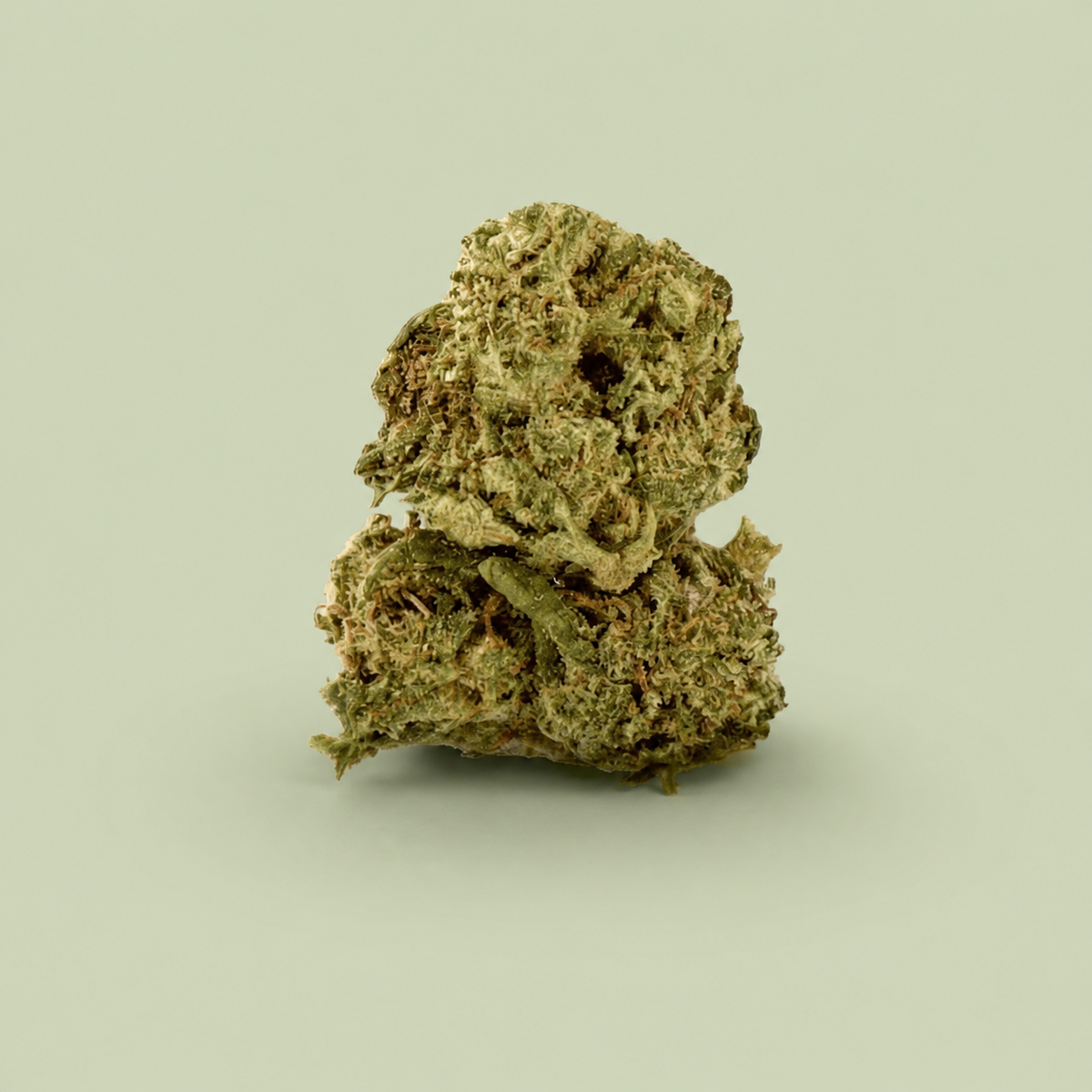 Fleur de CBD Blueberry sur fond vert sauge