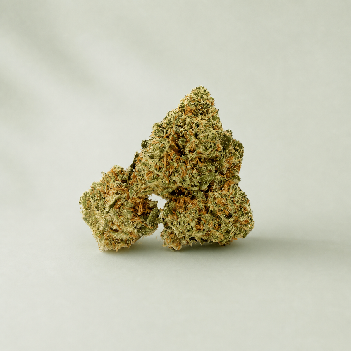 Blueberry Small Buds CBD sur fond inspiré Beldia avec ombre réaliste unique