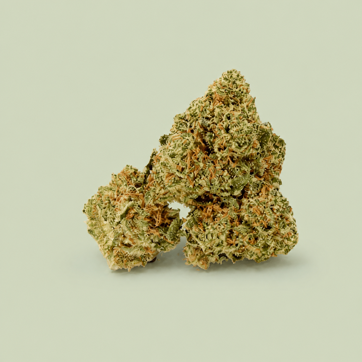 Fleurs de CBD Blueberry Small Buds sur fond vert sauge