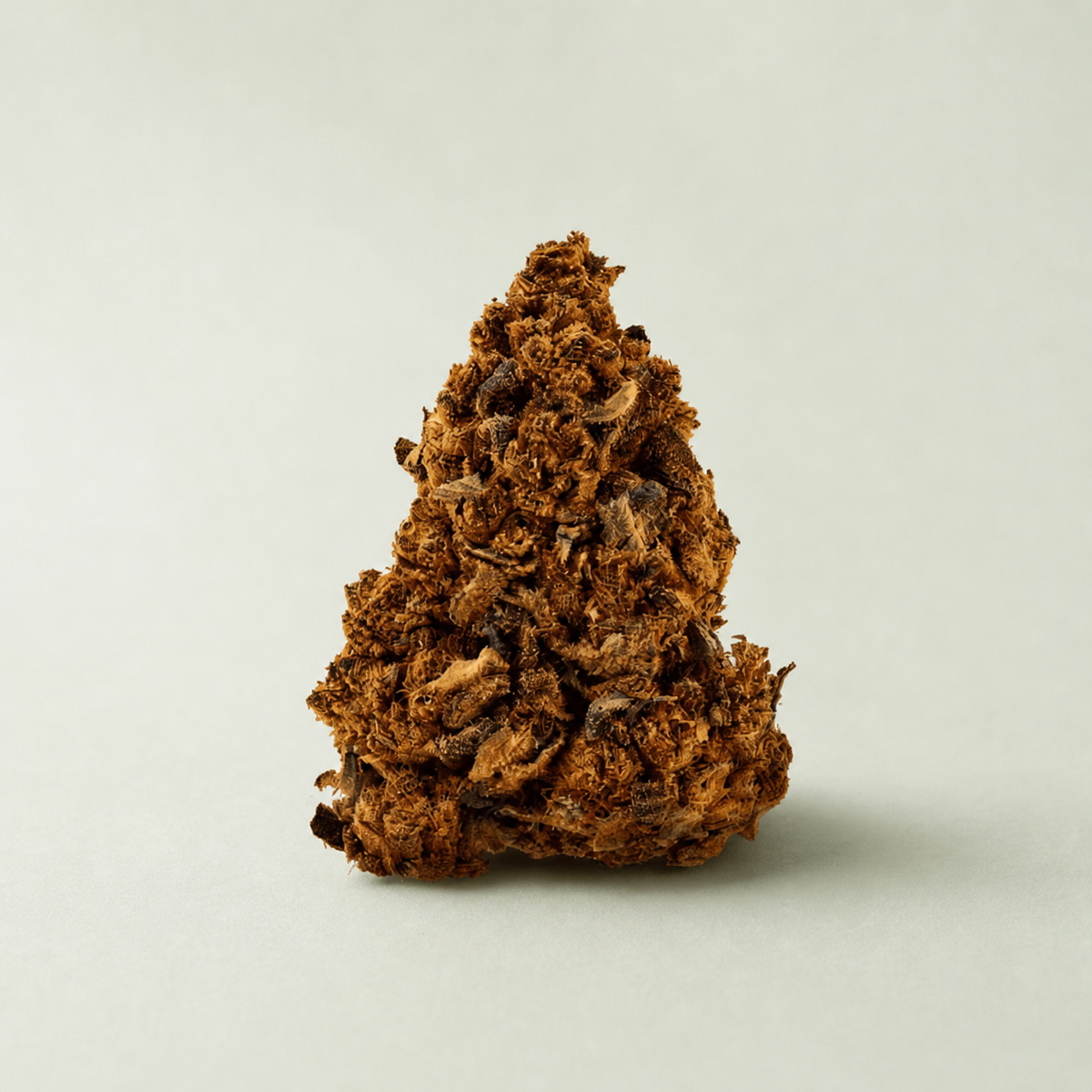 Bubba Kush CBD sur fond inspiré Beldia avec ombre réaliste unique
