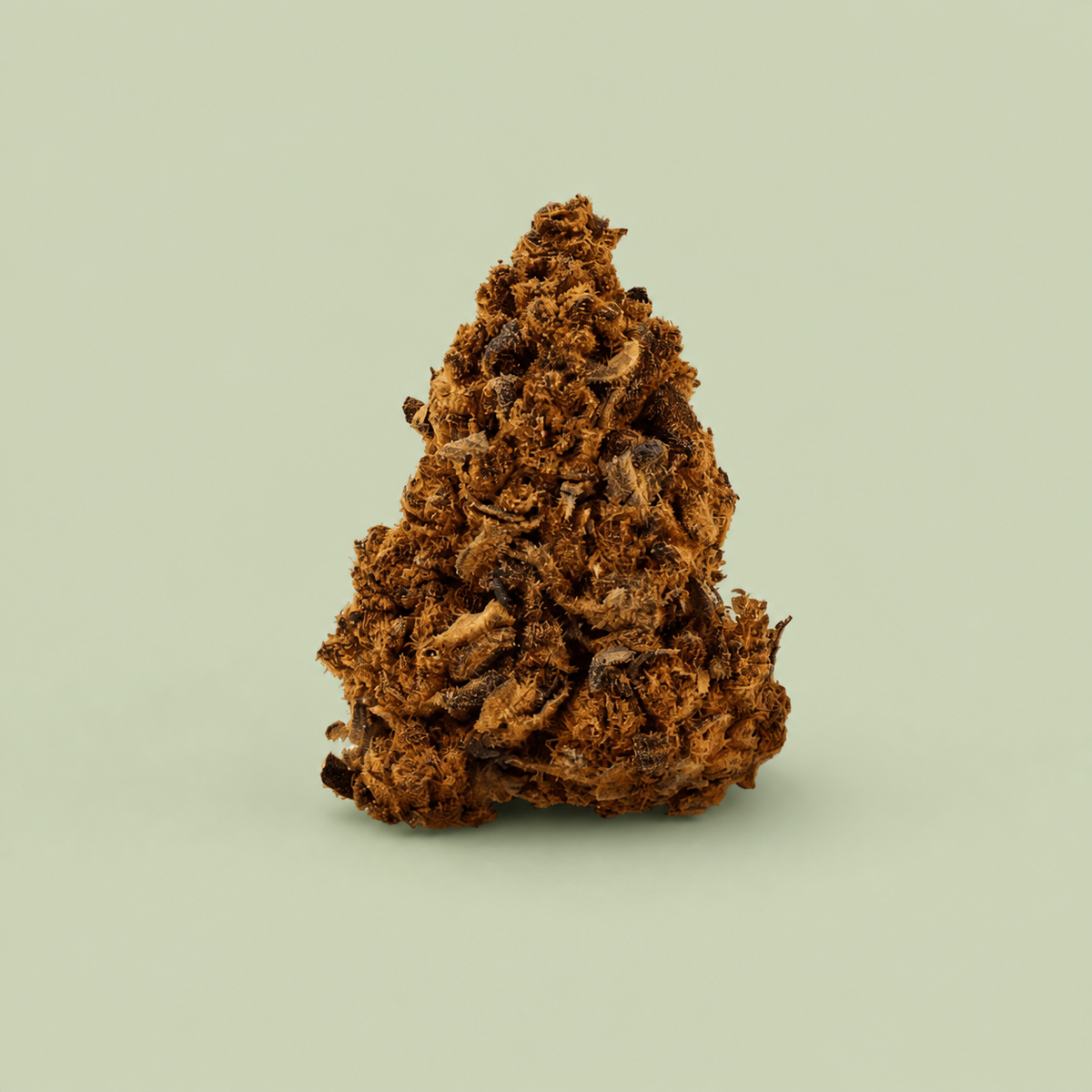 Fleur de CBD Bubba Kush sur fond vert sauge