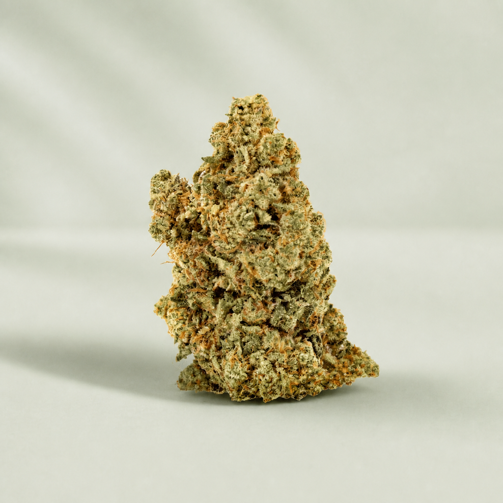 Critical Amnesia CBD sur fond inspiré Beldia avec ombre réaliste unique