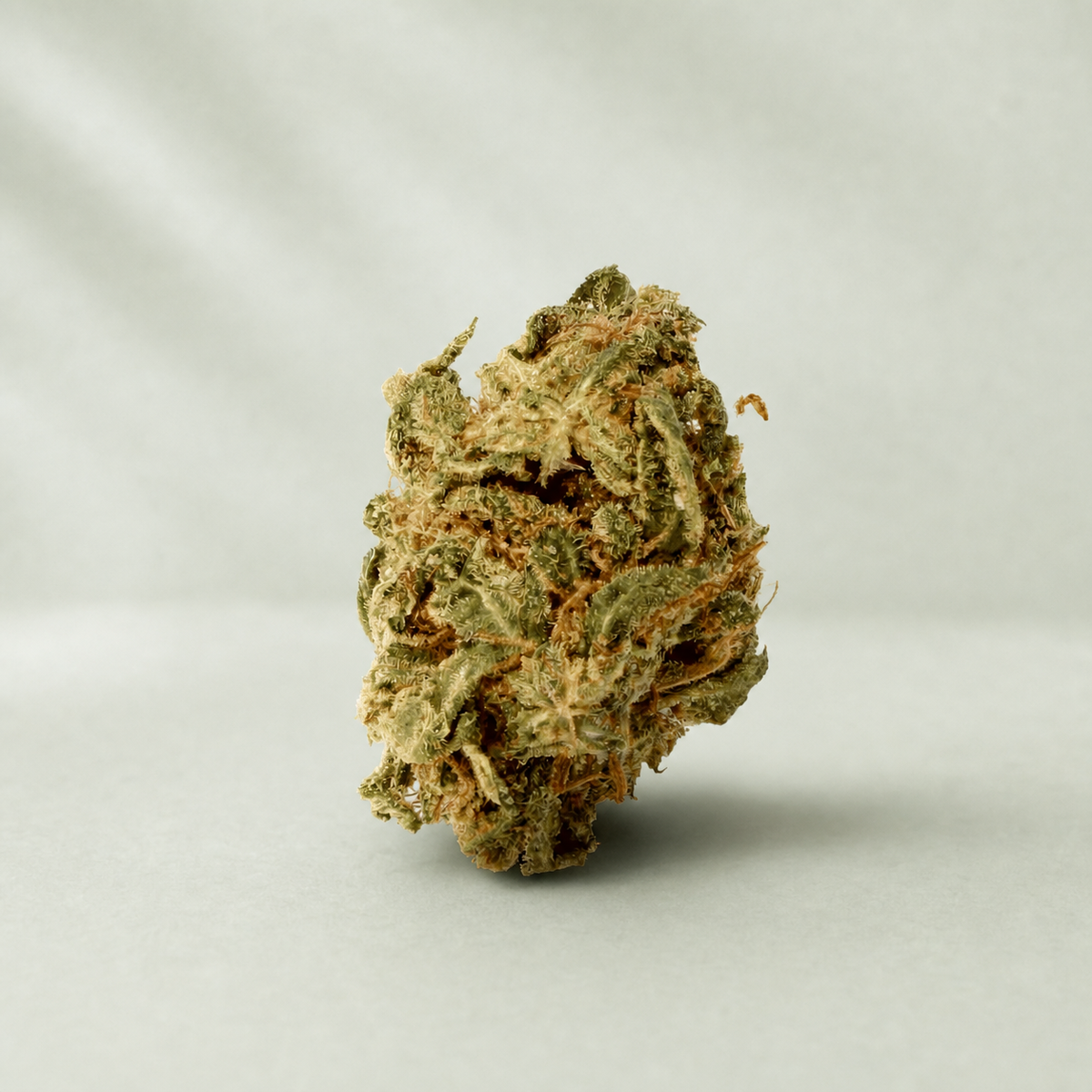 Critical Small Bud CBD sur fond inspiré Beldia avec ombre réaliste unique