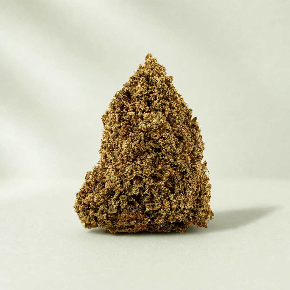 Fanta Haze CBD sur fond inspiré Beldia avec ombre réaliste unique