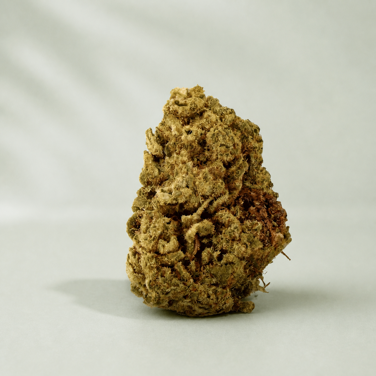 Gelato CBD sur fond inspiré Beldia avec ombre réaliste unique