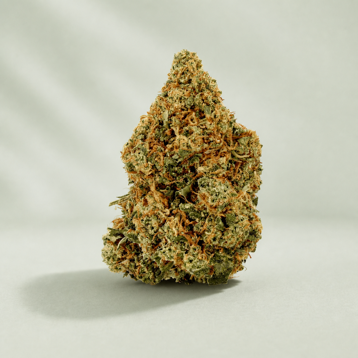 Gorilla CBD sur fond inspiré Beldia avec ombre réaliste unique