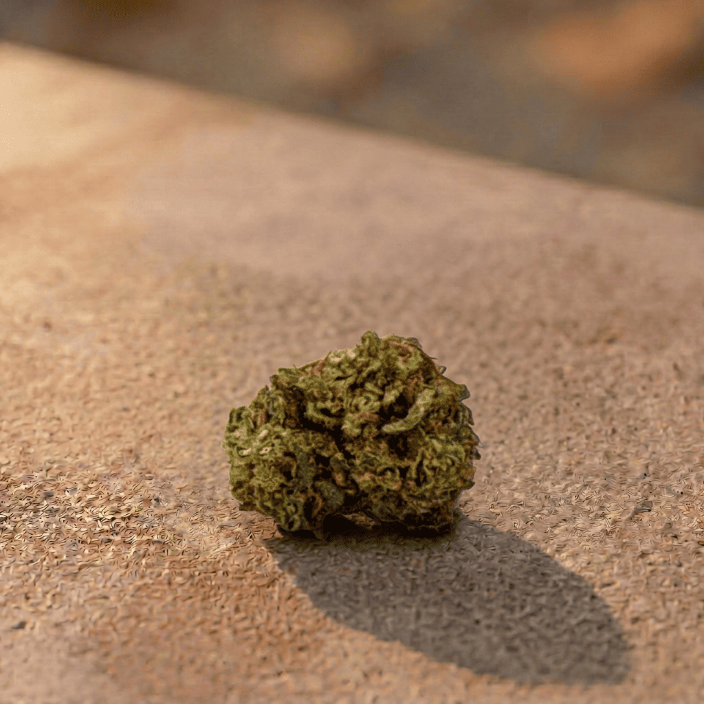 Orange Small Buds CBD