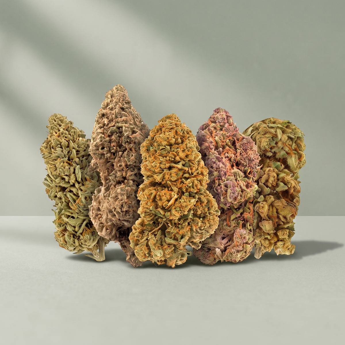 Pack descubrimiento Flores de CBD - 5 variedades