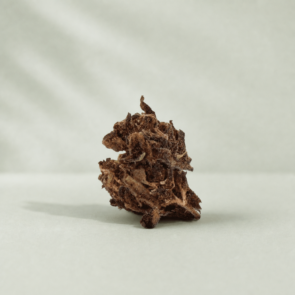 Pop Corn Small Buds CBD