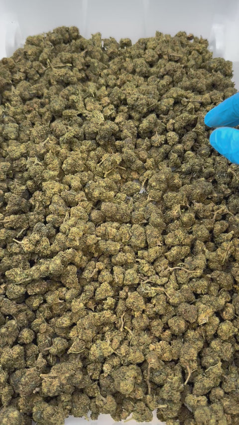 Flor de 10-OH White Widow Premium Strong 50%, 3g