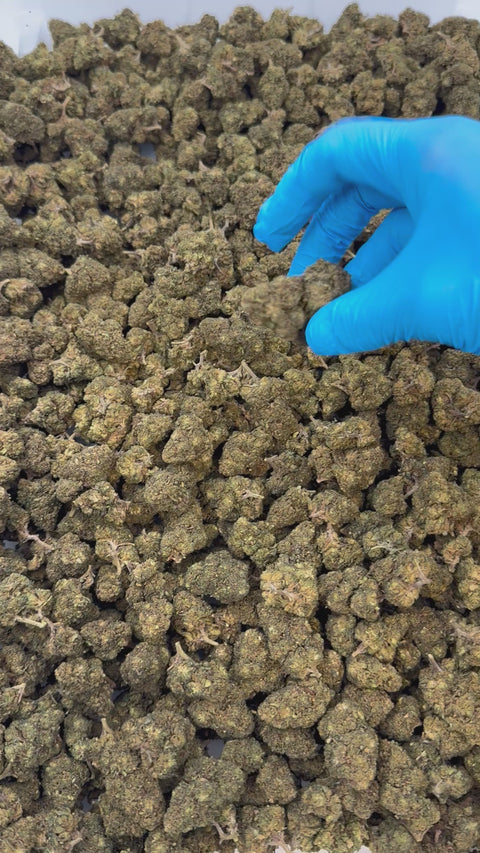 Flor de 10-OH Cannatonic Premium Strong 50%, 3g