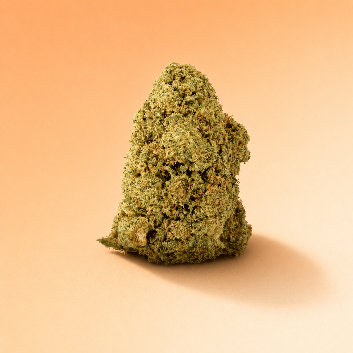 Flor de CBD Tangerine sur fond pêche et crème